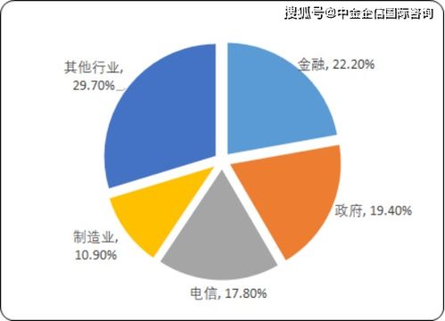 2020年中國(guó)IT服務(wù)市場(chǎng)深度調(diào)研及投資前景預(yù)測(cè) 聚焦信息技術(shù)咨詢(xún)服務(wù)